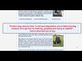 obedience training obedience training