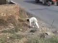 Bhadana Gujar Khan Pakistan 1