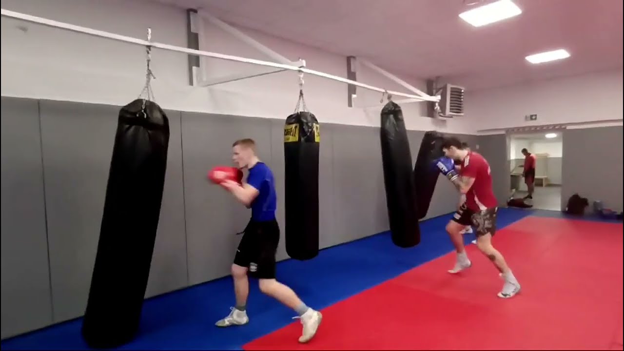 Bokserska kadra seniorów nie obija się.