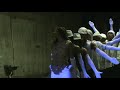??? (Emme Wong) - ?? (Two Faces) MV ?? ??? (Emme Wong) - ?? (Two Faces) MV ??