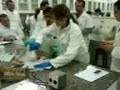 quimica doidona