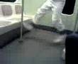 Monkeydance