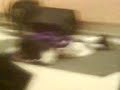 Orochimaru Sugoi kosplay :B