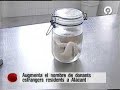 Sala disecci�n UMH