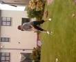2008-05-31 | tazzz ~> next tiger woods ;)...golf (00:12)