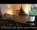 Clickern mit Aslak und Oula