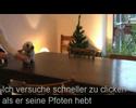 Clickern mit Aslak und Oula