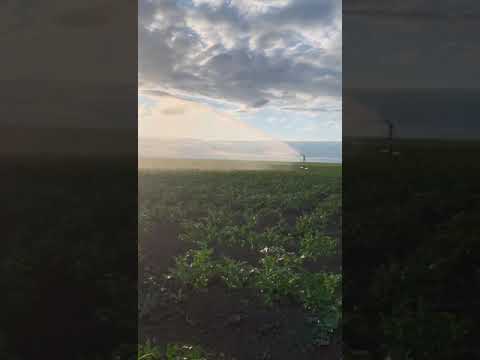 Спринклер пушка PYC70 от 40 до 78 м - фото 1 - id-p108617188