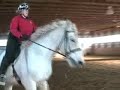 Peanut - Canter