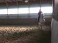 Peanut - Canter