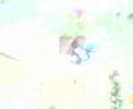 diske ke el chavo de locho