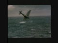 Svítá - Jaroslav Ježek (Dark Blue World)