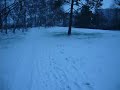 le paysage de neige