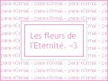 Les fleurs de l'Eternité - Harlem