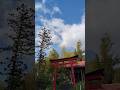 宮城県大崎市古川「化女沼龍神」