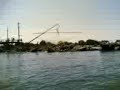 Sea-qulls