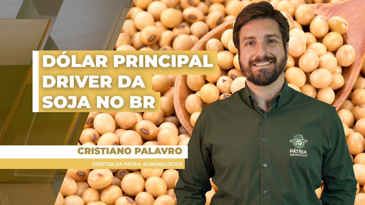 Dólar segue como principal direcionador da soja no BR e prêmios continuam se valorizando