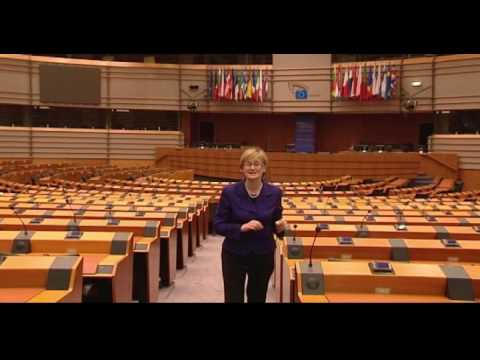 European Parliament - What is the role of the European Parliament? What is its involvement in making the laws we adhere to? Mairead McGuinness, EPP-ED MEP for Ireland East, takes ...