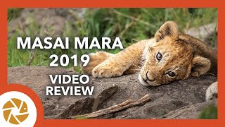 Masai Mara Annual Wildebeest Migration 2019