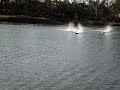 zenoah cracker rc boat race merbein