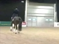 Dressage-C Hester & Escapado -Your Horse Live 2004- demo Kur