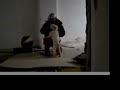 working standard poodle puppies - rubble