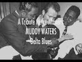 DELTA BLOOZ- SLIDE GUITAR