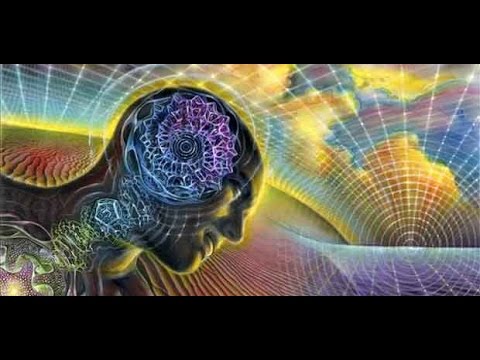 EL FUTURO DE LA HUMANIDAD DEPENDE DE NUESTRO POTENCIAL INTERNO