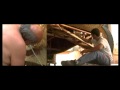 Backstage 382° Festino Santa Rosalia - Seconda Parte
