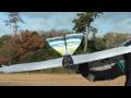 3D RC Ornithopter Buteo F4 Motion & Mechanism 3D RC Ornithopter Buteo F4 Motion & Mechanism