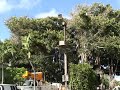 Click here to watch this video Thunderbolt Waialae Beach Park 5-24-2012