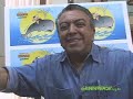 Greenpeace - Maur�cio de Souza fala da Marcha pelas baleias