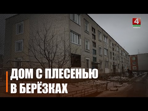 "Апрацоўваем сцены антысептыкам". У доме пад Гомелем з-за прамярзання сцен у кватэрах з'явілася цвіль видео