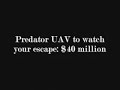 Predator