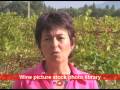 videos de [E] Montirius, #7 - a biodynamic wine grower, the story