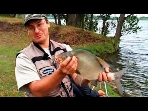 видео про ловлю леща видео про ловлю леща