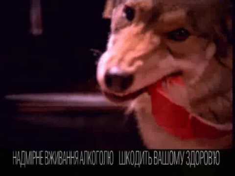 YouTube Трейлер