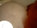 il maschietto della cucciolata+ Iside