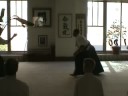 Jane Ozeki - kazaguruma Jane Ozeki - kazaguruma