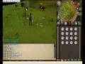 Crazy cow ownage