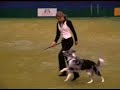tina humphrey crufts 2007