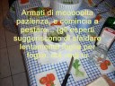 Cibo: il mio pesto (semiserio...)
