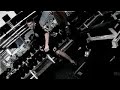 Golds Gym Spot