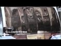  - MovieZen Video