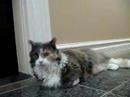 Macrina chilling in hallway