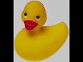 watch the fun as the rotary club of potsdam, new york, launches hundreds of yellow rubber duckies into the raquette river in its rubber ducky race fundraiser on july 8, 2006. the money raised by the race was used to send disabled children to summer camp and for other worthy causes supported by the potsdam rotary club.