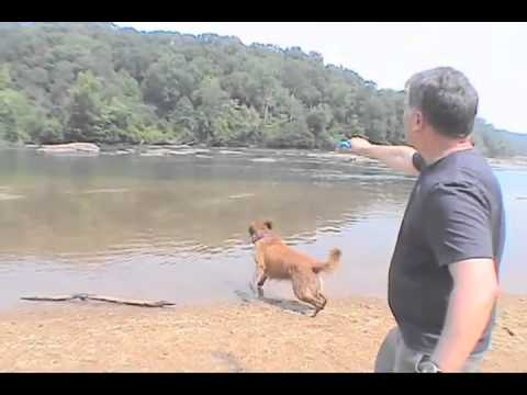 Go-Frrr Expander Ball - Die ultimative Ballschleuder.flv