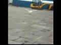 Shoplifting-Seagull