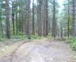 wordy at caudwell dirt jumps