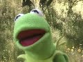 kermit talks trash on emos kermit talks trash on emos